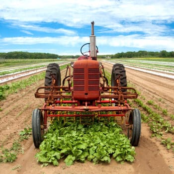 balsam-farms-gallery-Tractors-d